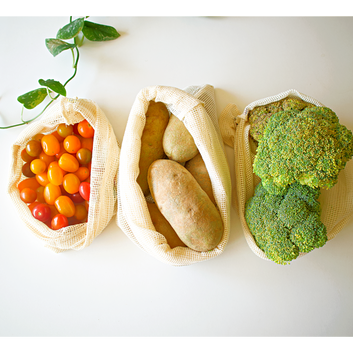 Produce Mesh Bags (Set of 3)