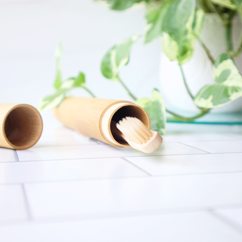 Bamboo Travel Toothbrush Case