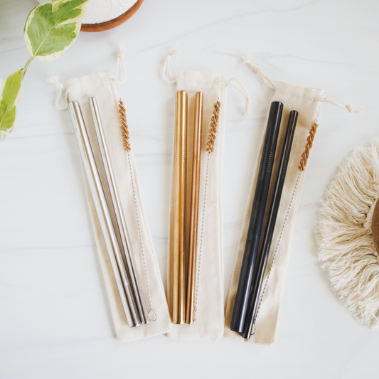 Metal Straw Kit