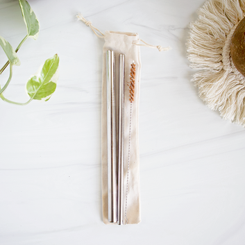 Metal Straw Kit