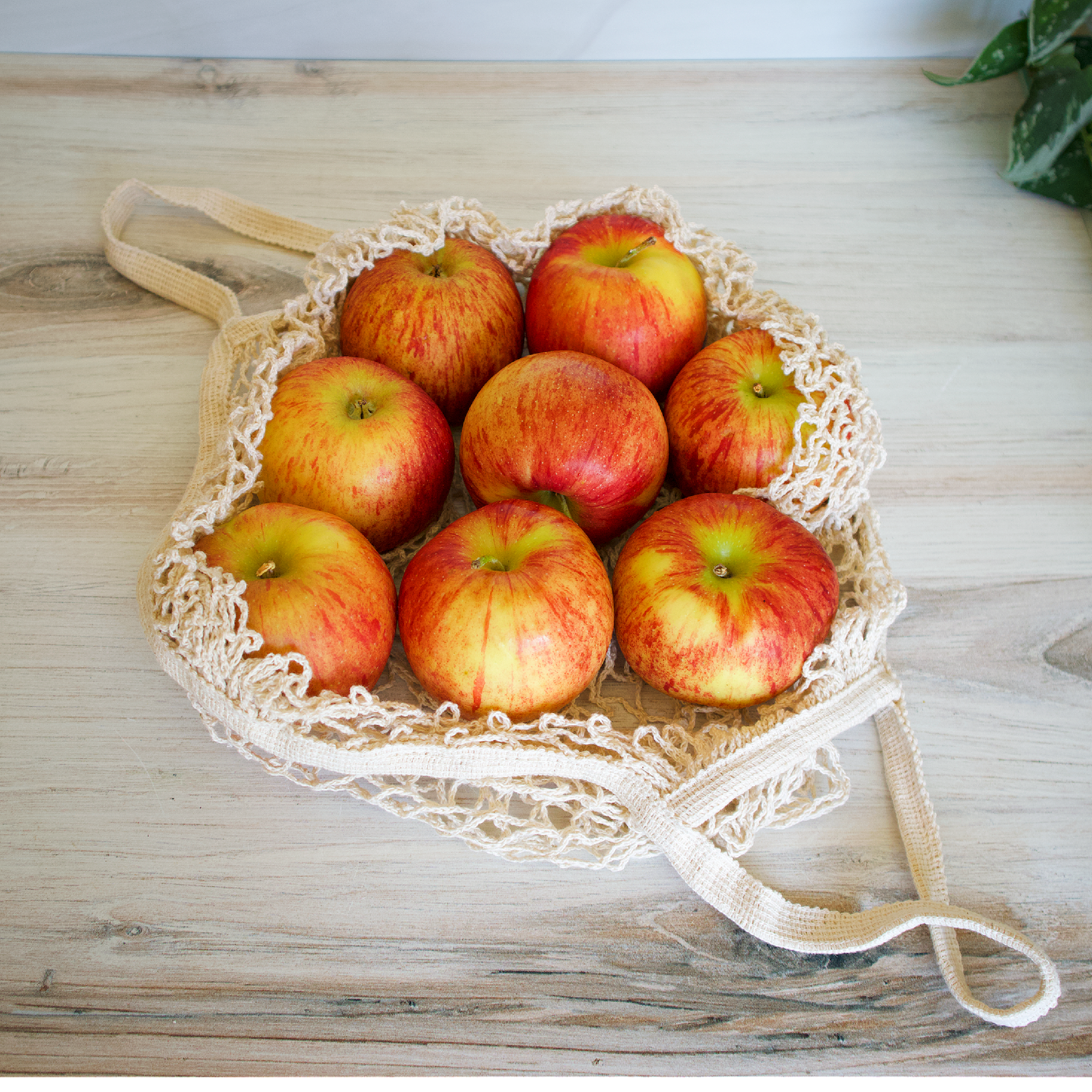 Large Mesh Cotton Produce Bags