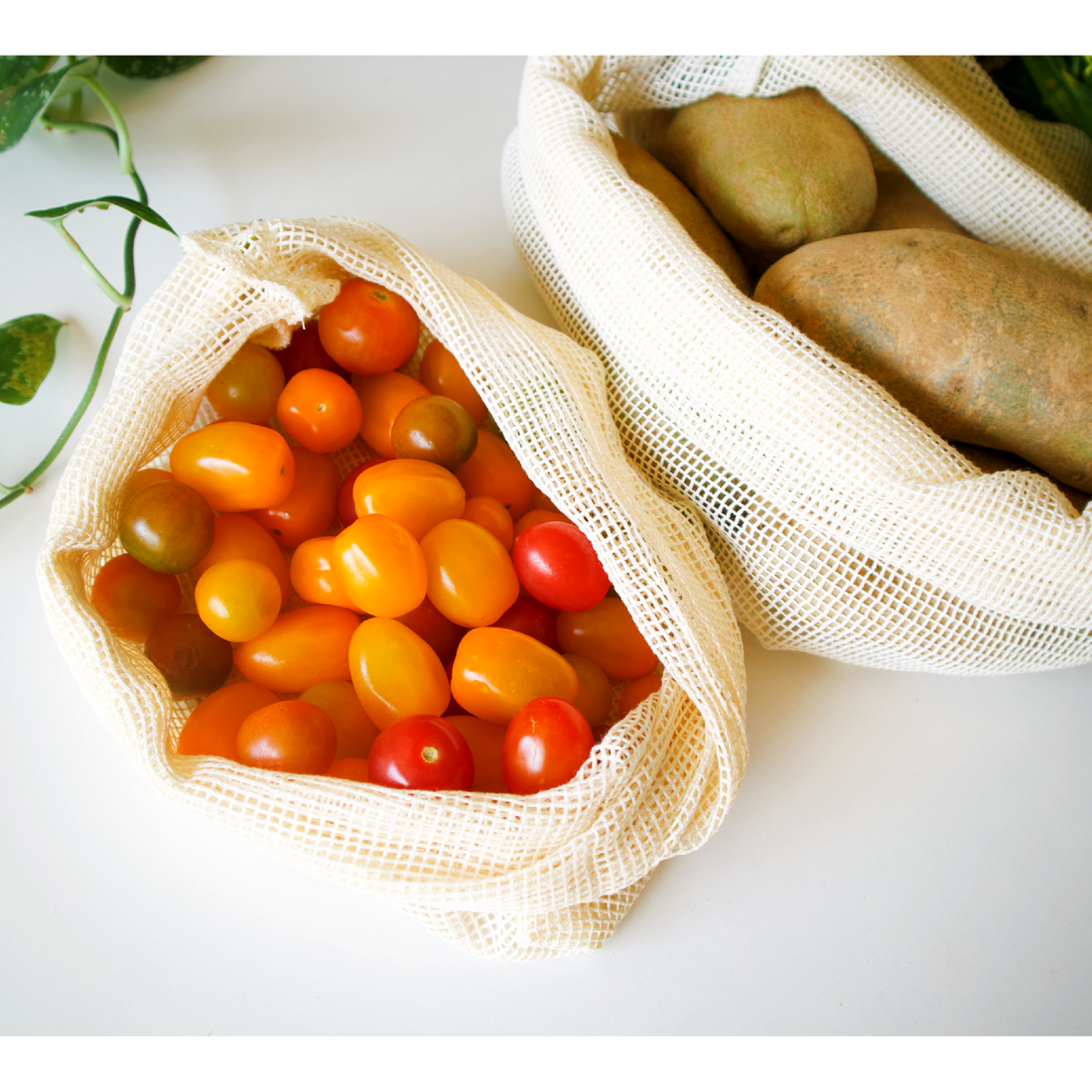 Produce Mesh Bags (Set of 3)