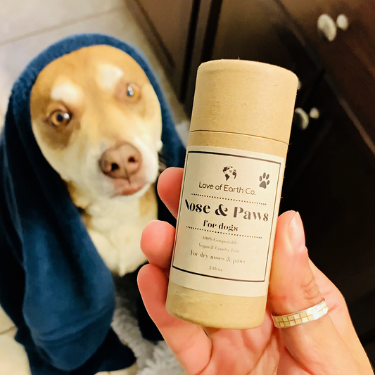 Nose & Paws Balm for Dogs