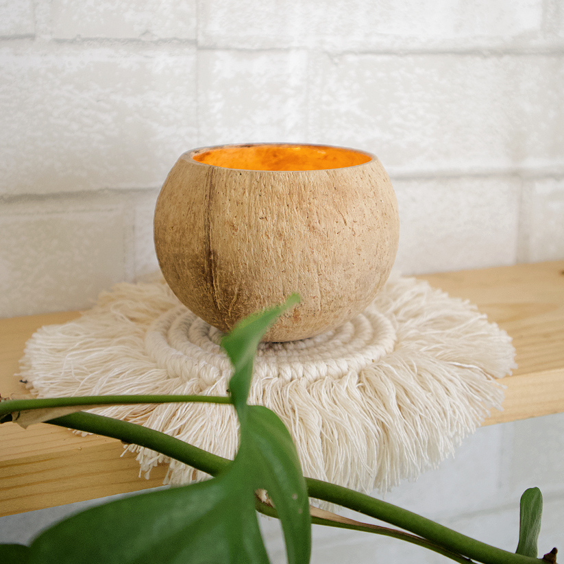 MINI Coconut Bowl Candle